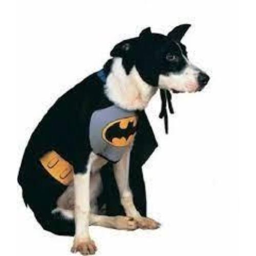 COSTUME PER CANE DA BATMAN/BATDOG