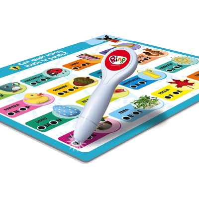 BING PENNA MAXI SCHEDE