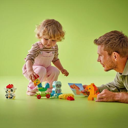 IL TRENO DEGLI ANIMALI