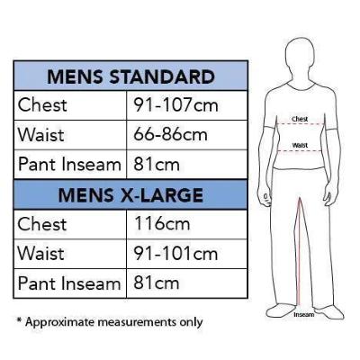 COSTUME MASCOTTE DISNEY TIGRO ADULTO 