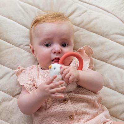 NATTOU SONAGLIO ZOE IL RICCIO CON ANELLO IN SILICONE