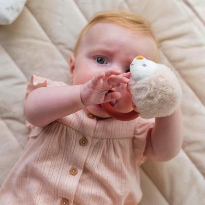 NATTOU SONAGLIO ZOE IL RICCIO CON ANELLO IN SILICONE