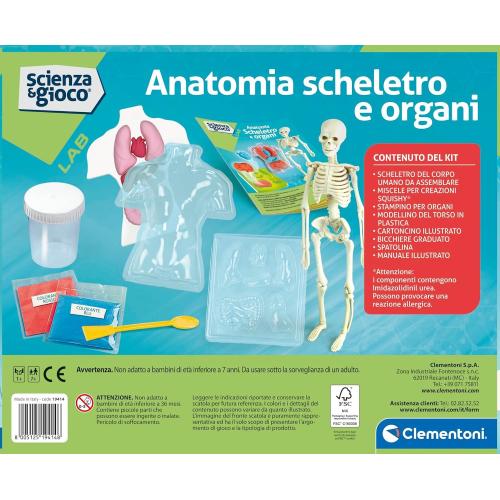 ANATOMIA SCHELETRO E ORGANI
