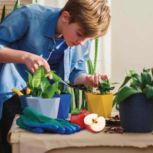 I'M A GENIUS SCIENZA POCKET SERRA