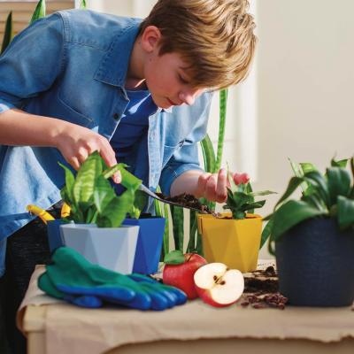 I'M A GENIUS SCIENZA POCKET SERRA