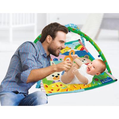 MY FIRST DISCOVERIES ACTIVITY GYM