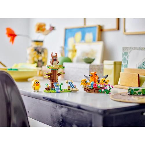 PARCO GIOCHI DEGLI ANIMALI