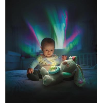 FIOCCO - PROIETTORE DI AURORA BOREALE