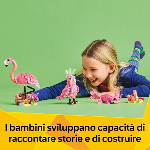 ANIMALI SELVATICI: FENICOTTERO ROSA