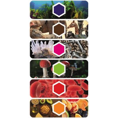 CLEMENTONI EXPLORER SCOPE MICROSCOPIO IA