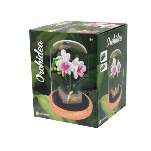 A DI ARTE - SET ORCHIDEA