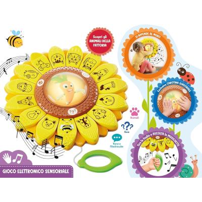 CAROTINA IL GIRASOLE EDUCATIVO