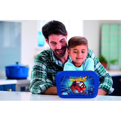 SPIDERMAN LAPTOP 4+