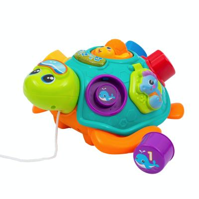 GIO' BABY - TARTA TRAINABILE INCASTRI