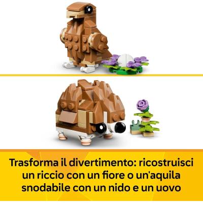 SIMPATICO CRICETO CON