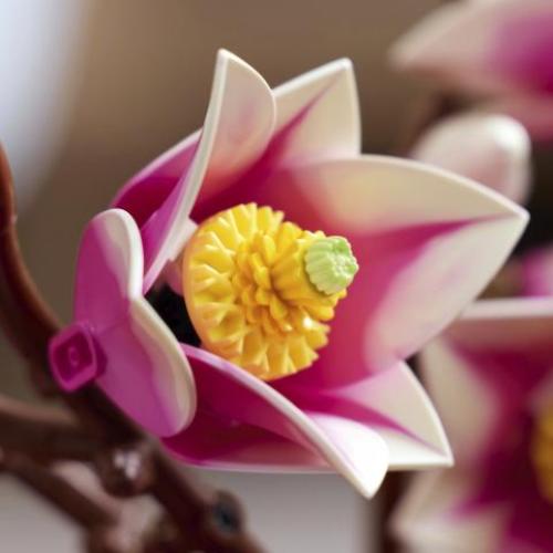 LEGO BOTANICALS RAMETTI DI MAGNOLIA