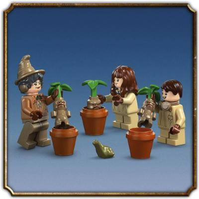 HARRY POTTER TM CASTELLO DI HOGWARTS: LEZIONE DI ERBOLOGIA