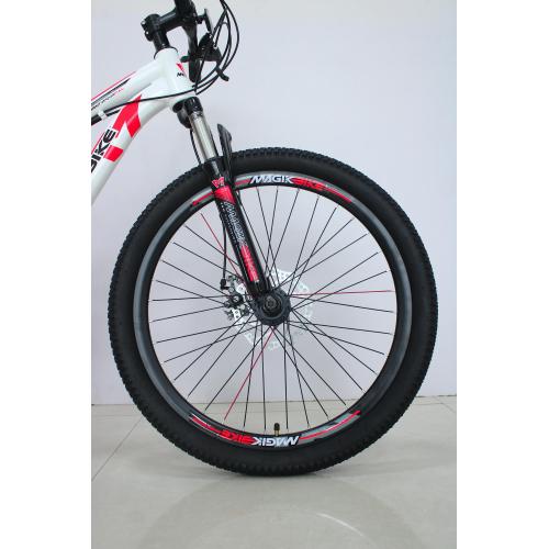 BICI 24 MTB FULL RAGAZZO DISCO FRENO