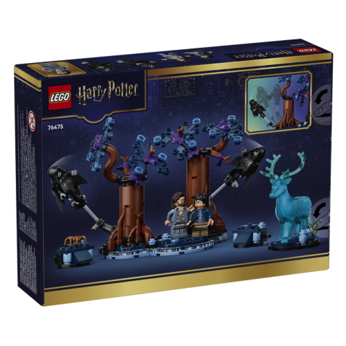 LEGO HARRY POTTER FORESTA PROIBITA: EXPECTO PATRONUM