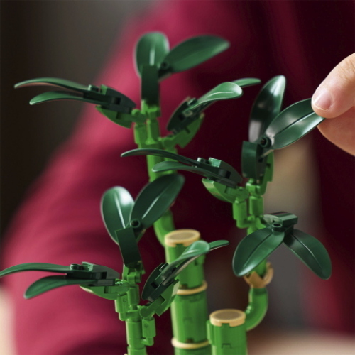 LEGO BOTANICALS BAMBU DEL BUON AUSPICIO