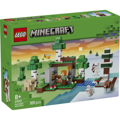 LEGO MINECRAFT AVVENTURA DELLA PRIMA NOTTE
