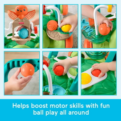 FISHER PRICE TARTARUGA PRIMI PASSI