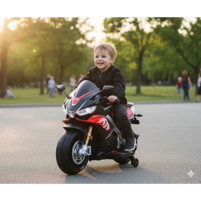 APRILIA RSV BIG 24 V  