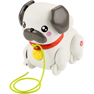 FISHER PRICE CARLINO CAMMINA CON ME