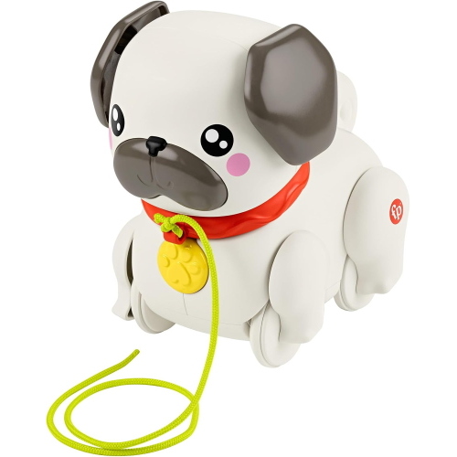 FISHER PRICE CARLINO CAMMINA CON ME