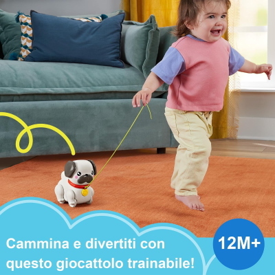 FISHER PRICE CARLINO CAMMINA CON ME
