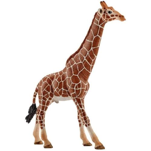 SCHLEICH GIRAFFA MASCHIO