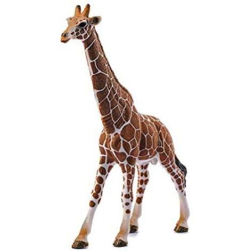 SCHLEICH GIRAFFA MASCHIO