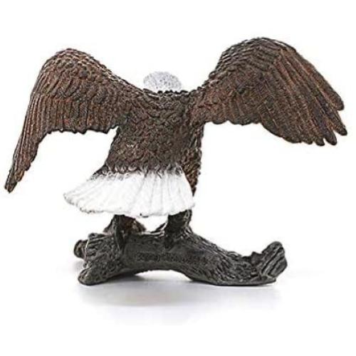 AQUILA DI MARE TESTABIANCA