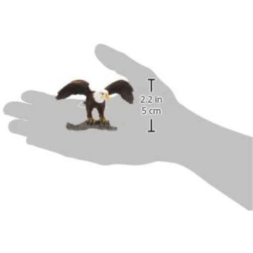 AQUILA DI MARE TESTABIANCA