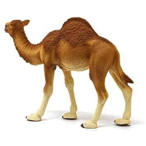 SCHLEICH DROMEDARIO