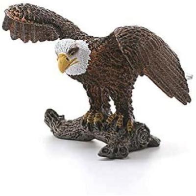 AQUILA DI MARE TESTABIANCA